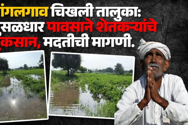 गांगलगाव चिखली: पावसाने शेतकऱ्यांचे नुकसान