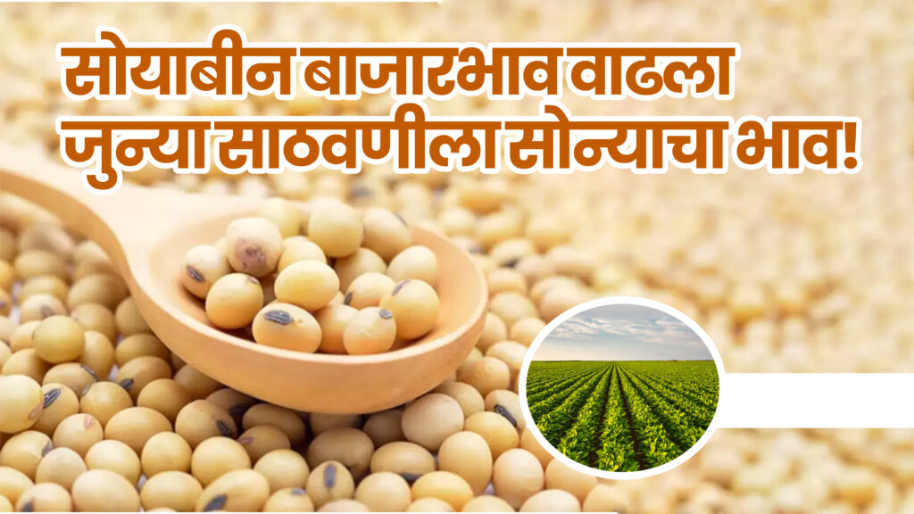 जुन्या सोयाबीनला सोन्याचा भाव! दरवाढीचा हंगाम सुरू – शेतकऱ्यांचे चेहरे फुलले